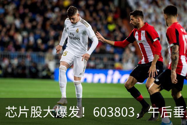 芯片股大爆发！603803，午后垂直涨停！